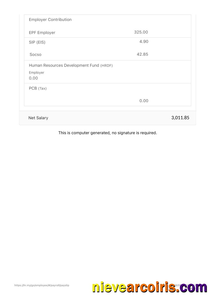 Zetronix payslip 2
